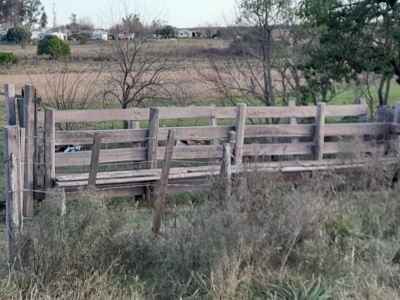 Campo en Venta en Paysandú, Paysandú
