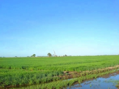 Campo en Venta en Treinta y Tres, Treinta y Tres