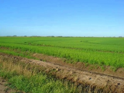 Campo en Venta en Treinta y Tres, Treinta y Tres