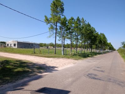 Terreno en Venta en Paysandú, Paysandú