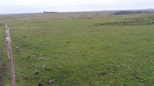 Campo / Chacra en Venta en Tacuarembó, Tacuarembó