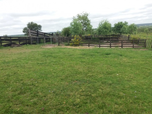 Campo / Chacra en Venta en Tacuarembó, Tacuarembó