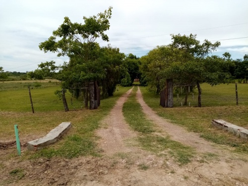 Campos y Chacras en Venta en Paysandú