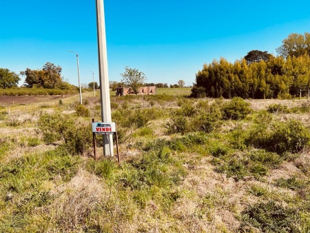 Terrenos en Venta en Paysandú