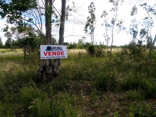 Terrenos en Venta en Paysandú