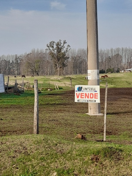 Terrenos en Venta en FRANSICO BICUDO Y RODRIGUEZ NOLLA, Paysandú
