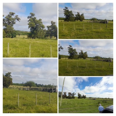 Campos y Chacras en Venta en Paysandú, Paysandú