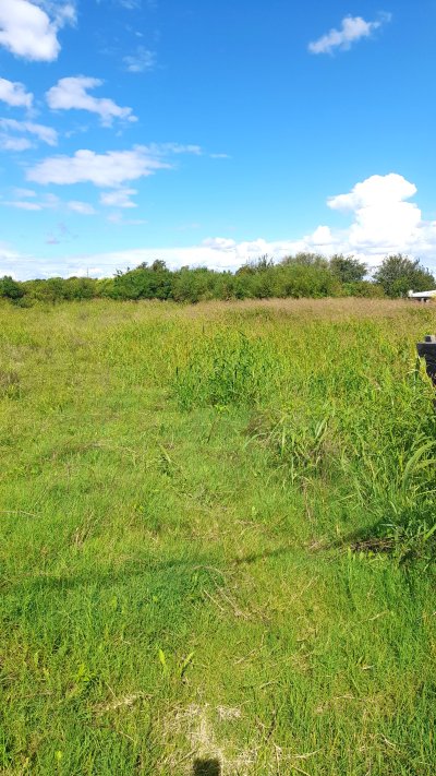 Terrenos en Venta en Paysandú, Paysandú
