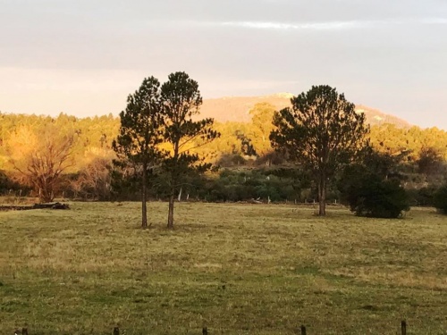 Campo / Chacra en Venta - Alquiler en Playa Grande, Maldonado