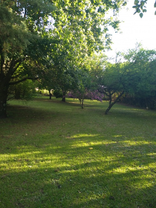 Terreno en Venta en Esperanza, Paysandú