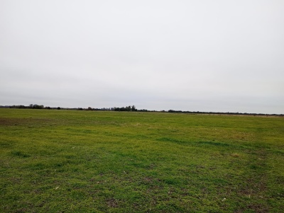 Campos en Venta en Providencia, Santa Fe