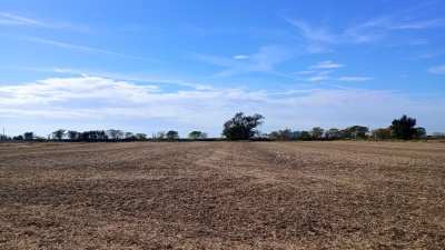Campos en Venta en Soutomayor, Santa Fe
