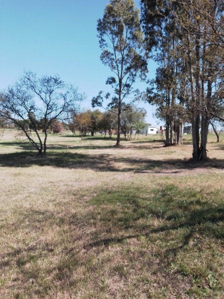 Terreno en Venta en Los Arrayanes, Soriano