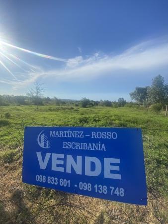 Terreno en Venta en Mercedes, Soriano