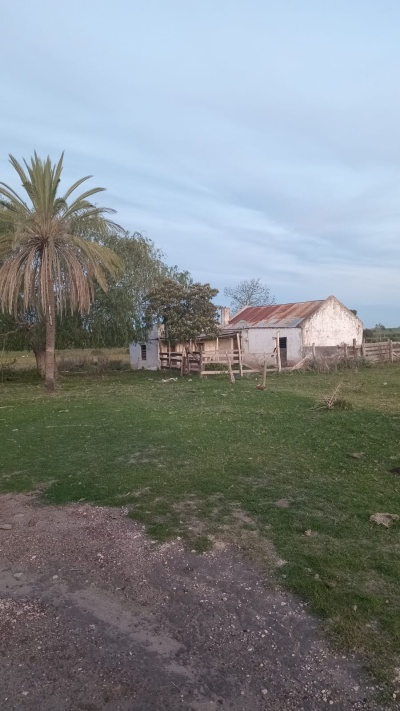 CAMPOS y CHACRAS en Venta en Sadam, Mercedes, Soriano