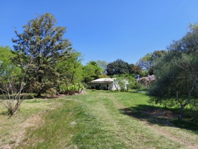 CAMPOS y CHACRAS en Venta en Cerro alegre, Mercedes, Soriano