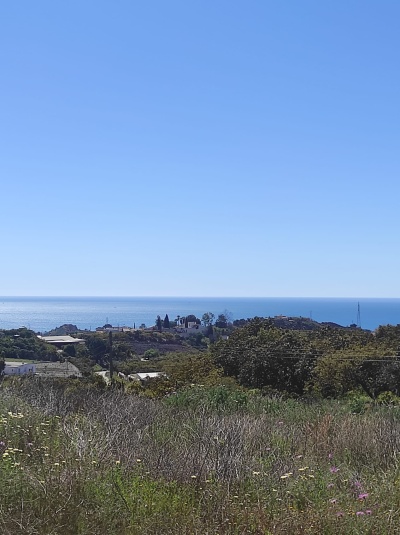 Campos y Chacras en Alquiler en Almayate Bajo, Andalucia