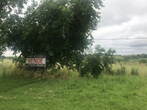 Campos y Chacras en Venta en Mercedes, Soriano