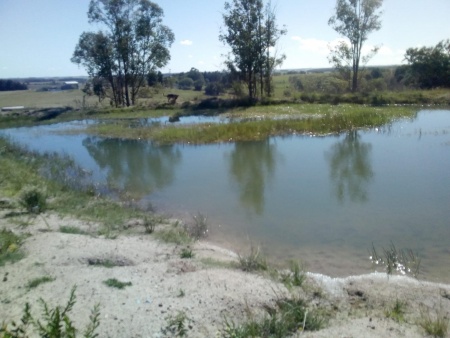 Campo / Chacra en Venta en SUB URBANA, Guichón, Paysandú