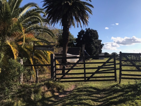 Campos y Chacras en Venta en SAN DIOS, Mercedes, Soriano