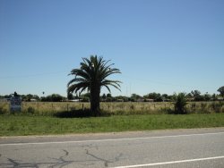 Terreno en Venta en Palmitas, Soriano