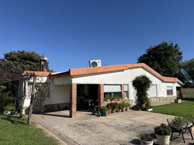 Campos y Chacras en Venta en CERRO ALEGRE, Mercedes, Soriano