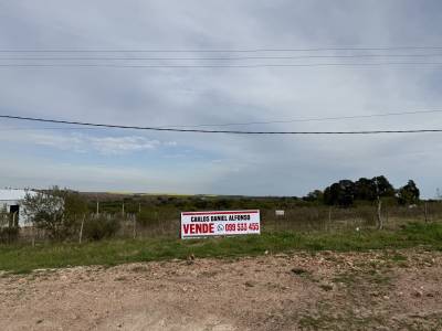 Terreno en Venta en ASCESOS A MERCEDES RUTA 2, Mercedes, Soriano