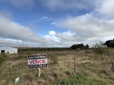 Terreno en Venta en ASCESOS A MERCEDES RUTA 2, Mercedes, Soriano
