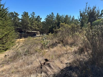 Terrenos en Venta en Pichilemu, Libertador General Bernardo O'Higgins