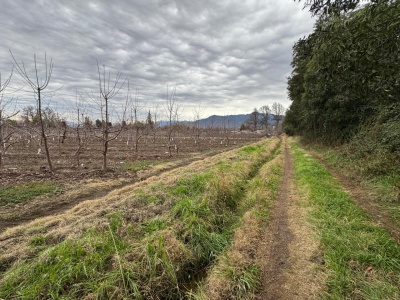 Terrenos en Venta en Nogales, Machalí, Libertador General Bernardo O'Higgins