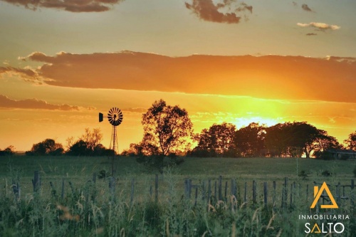 Campos y Chacras en Venta en Salto