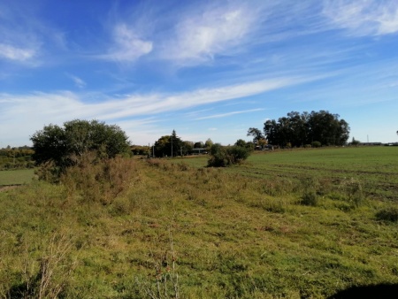 Chacras y Campos en Venta en Pense, Mercedes, Soriano