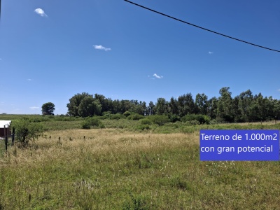 Terrenos en Venta en Pense, Mercedes, Soriano