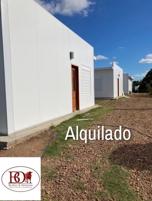 Casas en Alquiler en Centenario, Durazno