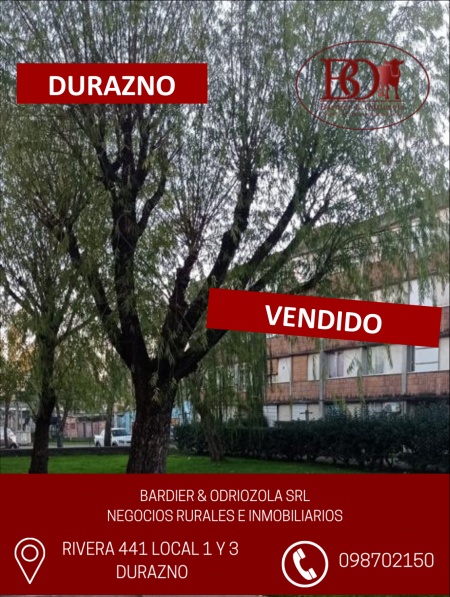 Apartamentos en Alquiler en Durazno , Durazno