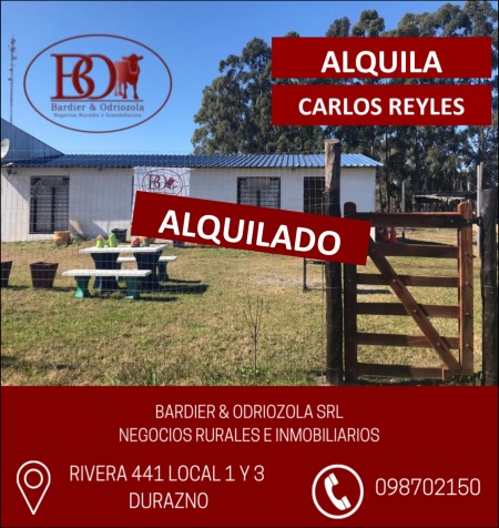 Casas en Alquiler en Carlos Reyles, Durazno