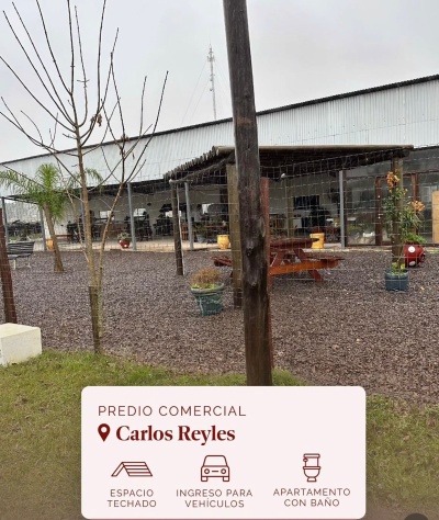 Locales Comerciales en Alquiler en Carlos Reyles, Durazno