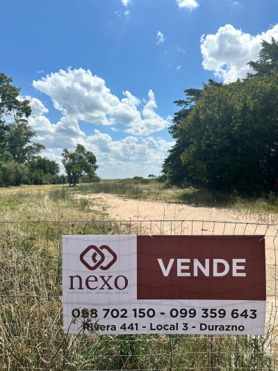 Terreno en Venta en Santa Bernardina, Durazno , Durazno