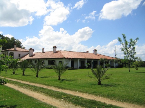 Campo / Chacra en Venta en Treinta y Tres, Treinta y Tres