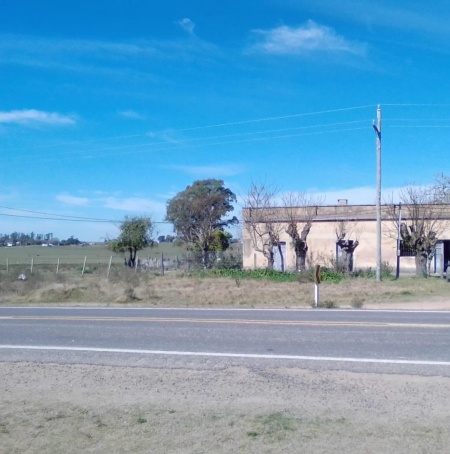 Campo / Chacra en Venta en Ruta 6, Sarandí del Yí, Durazno