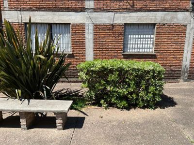 Apartamentos en Alquiler en Durazno , Durazno