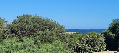 Casa en Alquiler en manantiales, La Barra, Maldonado