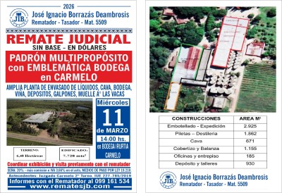 Otras propiedades en Remate en Carmelo, Colonia