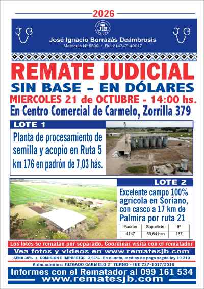 Campo en Remate en Otras localidades, Soriano
