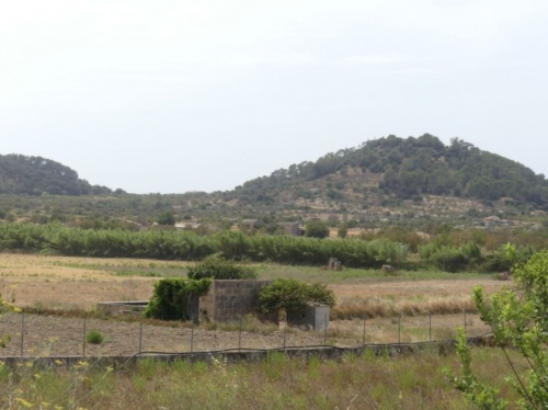 Fincas rústicas en Venta en Sineu, Islas Baleares