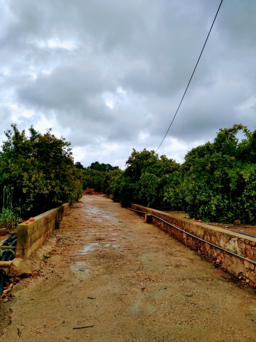 Terrenos y parcelas en Venta en Carcaixent, Comunidad Valenciana