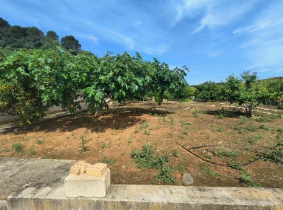 Chalets y casas de campo en Venta en Barraca De Aguas Vivas, Comunidad Valenciana