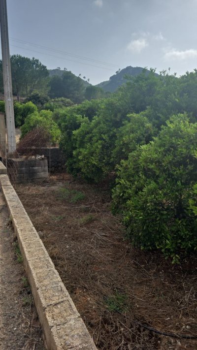 Terrenos y parcelas en Venta en Barraca De Aguas Vivas, Comunidad Valenciana