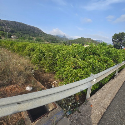 Terrenos y parcelas en Venta en Barraca De Aguas Vivas, Comunidad Valenciana