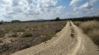 Terrenos y parcelas en Venta en Alberic, Comunidad Valenciana